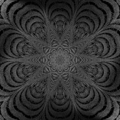 Secret Society v2.5