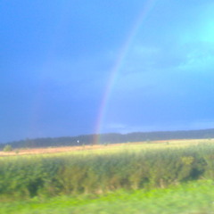 Finleys rainbow skank mix