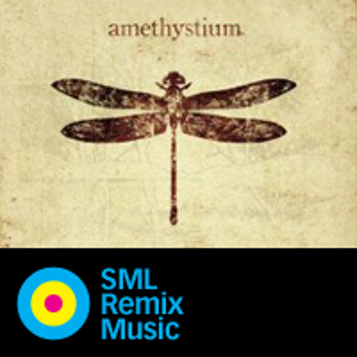 Arcus - Amethystium (SML Alto Recorder Solo Symphonic Electronica Remix)