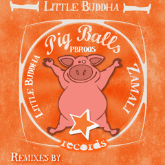 Zamali - Little Budha (Slynk Remix)