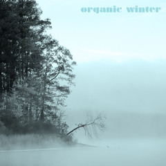 basic_sounds + minisystem / organic winter
