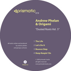 Andrew Phelan & Origami - The Life - Prismatic Tracks