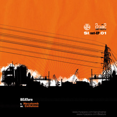 SIDIG 01 BEATure /// Cellulose