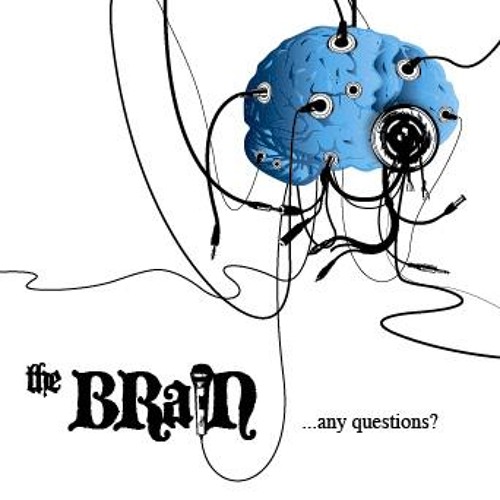 Stream the brain | Listen to Any Questions? playlist online for free on ...