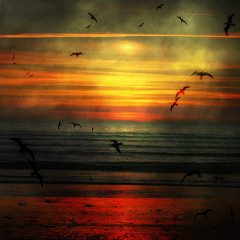 Luiz Almac - Alpha Centauri