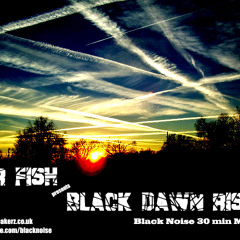 Black Dawn Rising...Mr Fish Mix SPECIAL 30min Black Noise Mayhem