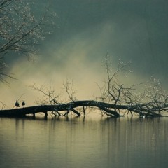 D-WAX "Head in da Haze"