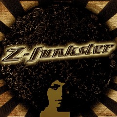 I Can't Stand The Rain [Z-Funkster ReGroove]