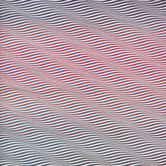 The womb waltz(2009)