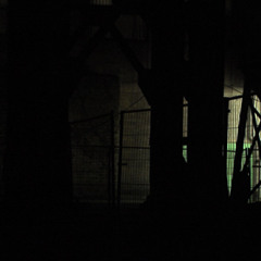 einpuls - impartial news