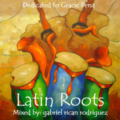 GABRIEL RICAN RODRIGUEZ - LATIN ROOTS (LATIN HOUSE MIX)