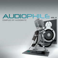 Audiomatic - Difficult Phase
