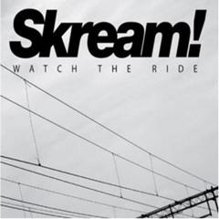 Skream -  26 Basslines V.I.P