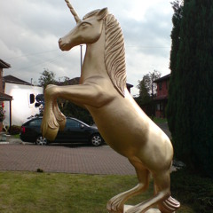 NICKY ELITE - Violets on the Street