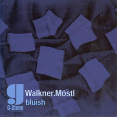 Walkner.Moestl - Shades