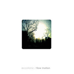 Flow Motion (from "Eccotonic" artist project)
