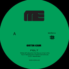 Mote014 :: Ortin Cam - Felt part 1
