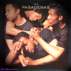 The Pasadenas - New Love (Funkhameleon First Love Remix)