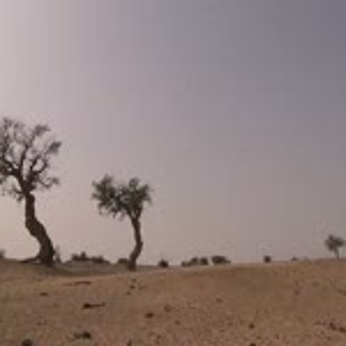 Deep Africa Teaser