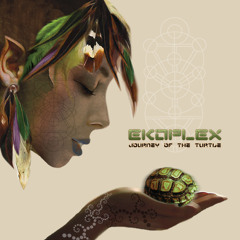 Ekoplex - Journey Of The Turtle