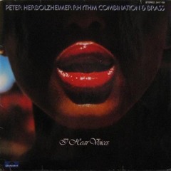 Peter Herbolzheimer Rhythm Combination & Brass - Feedback Brother (Marc Hype Edit) dl inside