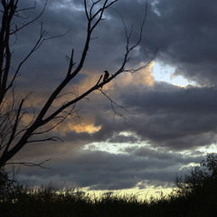 Maybe I Should Stay - Dabra's Mix