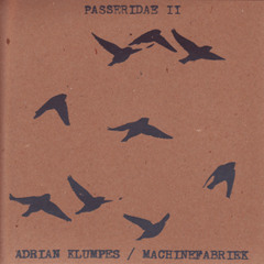 In Stillness His Shadow Moved (Adrian Klumpes w/ Machinefabriek)