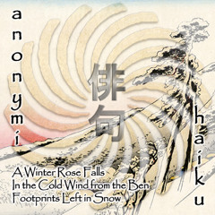 01 A Winter Rose Falls