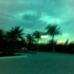 lastdaysofanewlife