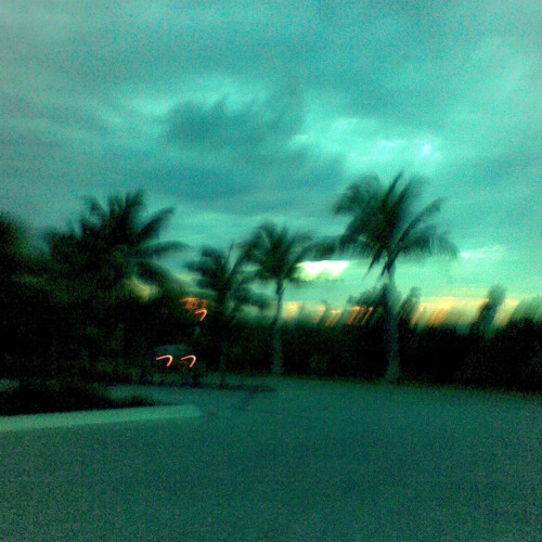 lastdaysofanewlife