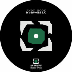 A1 Andy Book - If You Tried (Original Mix)