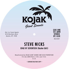 Stevie Nicks - Edge of Seventeen (rayko edit) 96 kbps