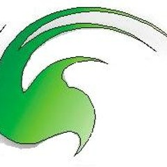 Interlude From the Harp (acoustic sample)