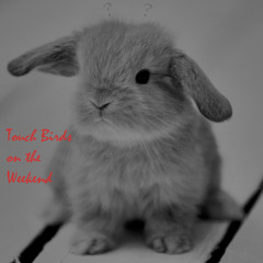 Touch Birds on the Weekend