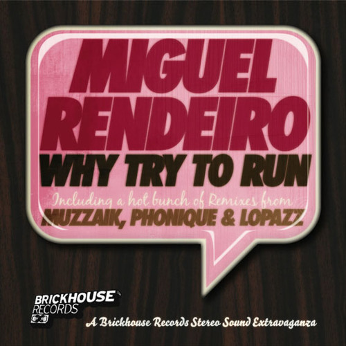 Miguel Rendeiro – Why try to run (Muzzaik Dub)