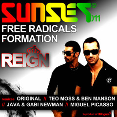 The free radicals formation "reign" teo moss & ben manson remix