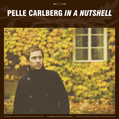 Pelle Carlberg - I Love You, You Imbecile
