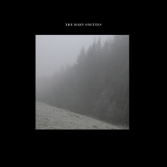 The Mary Onettes - Void
