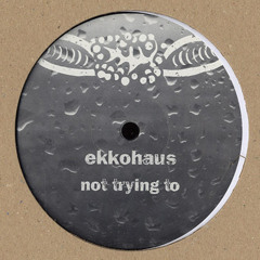 Ekkohaus - Not Trying To (feat. Robert Würz) [brut! 09]