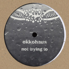 Ekkohaus - One Too Many [brut! 09]
