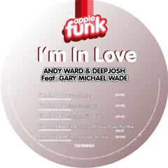 Andy Ward & Deep Josh - In Love ( 2 brothers of soul Powerful mix)
