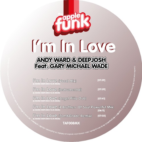 Andy Ward & Deep Josh - In Love ( 2 brothers of soul Powerful mix)