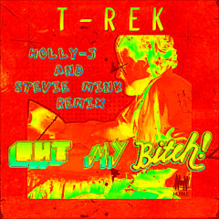 Out My Bitch - T-Rek (Holly-J + Stevie Mink Remix) [Ministry Of Sound]