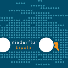 Niederflur - Bipolar Live Pt 1 - Nord