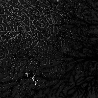artworks-000001015072-t5c0ql-t200x200.jpg?3eddc42