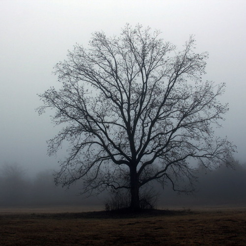 Dukary Esald - Swimming Dreaming (Original Mix)