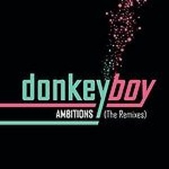 Donkeyboy - Ambitions (Tora Vinter Northern Light Version)