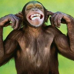 "Year of the Monkey" (sinister splatter remix)