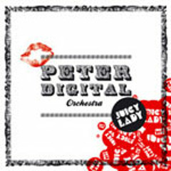 PETER DIGITAL ORCHESTRA - 'Juicy Lady'