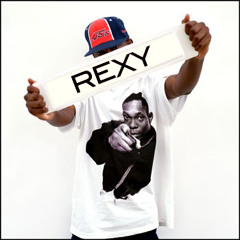 Dizzee Rascal 'Bonkers' Rex The Dog Remix